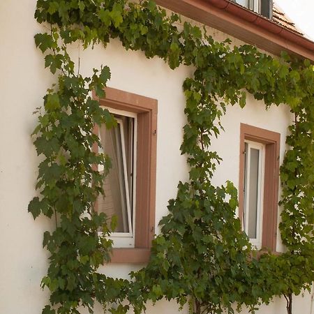 Ferienhaus Am Kuenstleratelier Riegel Zewnętrze zdjęcie
