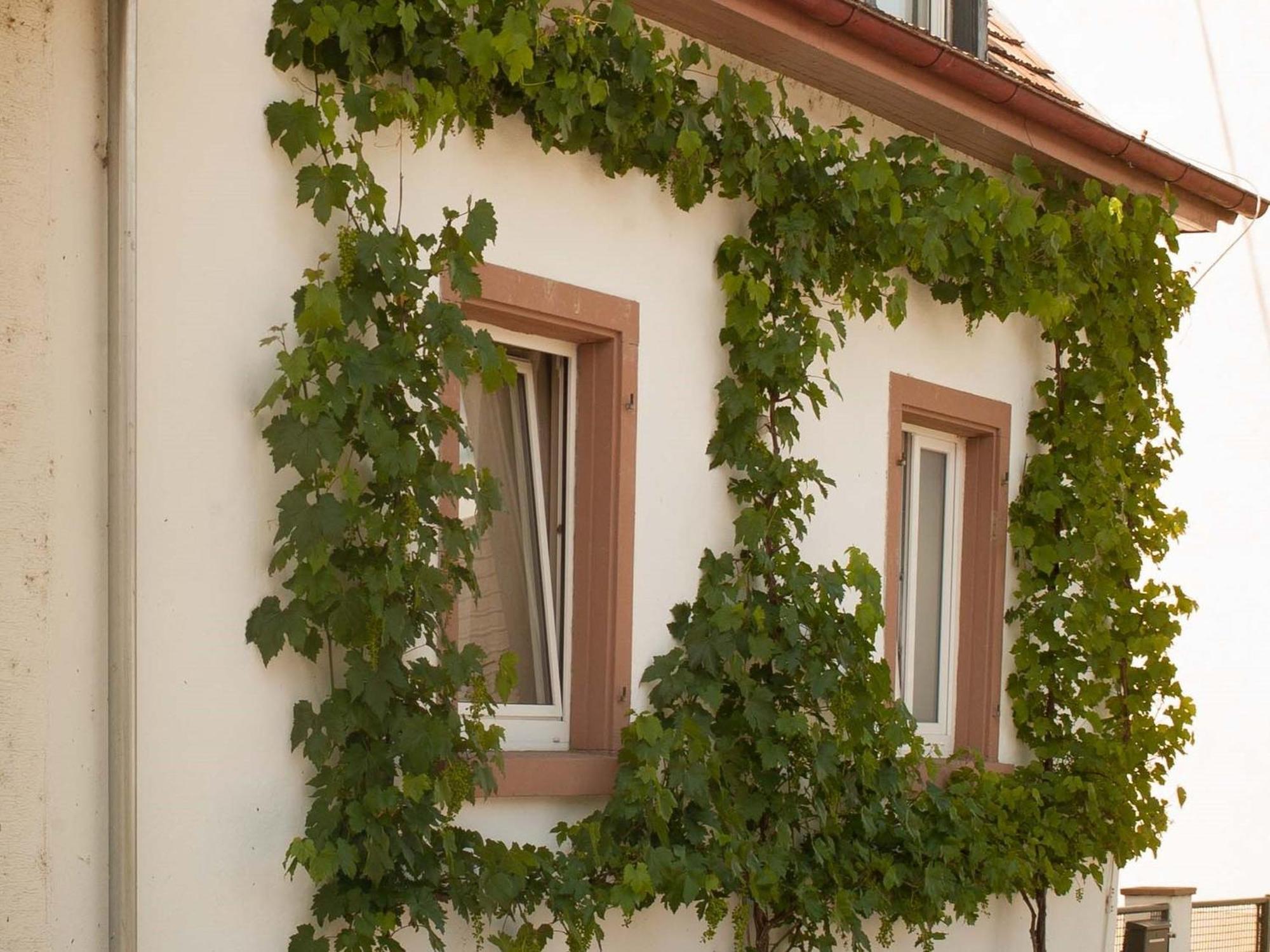 Ferienhaus Am Kuenstleratelier Riegel Zewnętrze zdjęcie
